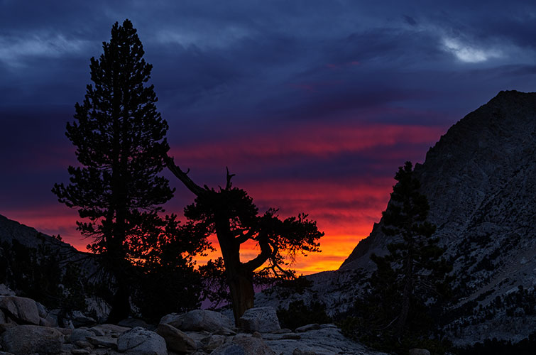 picture of sierras
