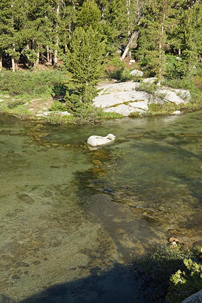picture of creek