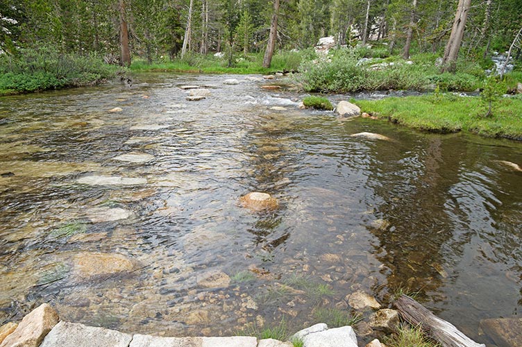 picture of Sierra