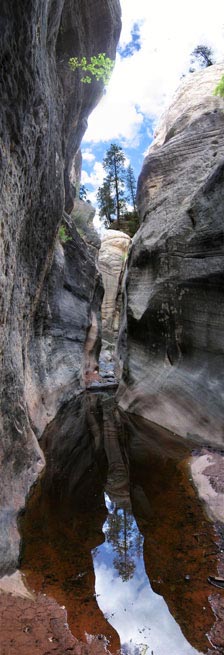 picture of sycamore canyon 