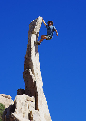 picture of Joshua Tree