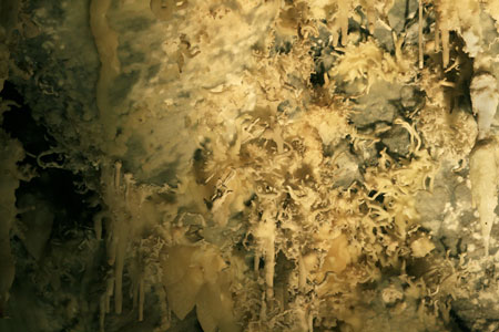 picture of cave