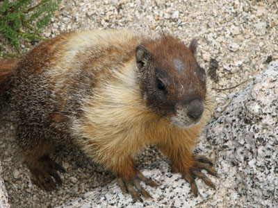 picture of Julie