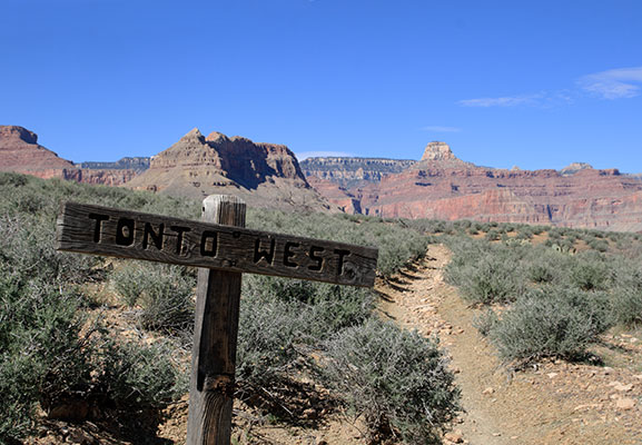 picture of the Grand Canyon