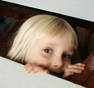 picture of Trintje