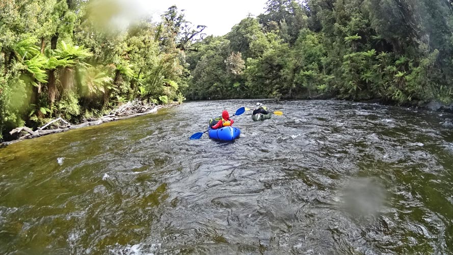 picture of New Zealand
