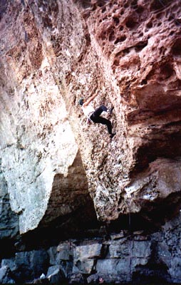 picture of Seneca