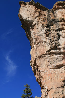 picture of Enchanted Tower