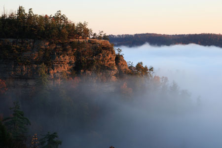 picture of rrg