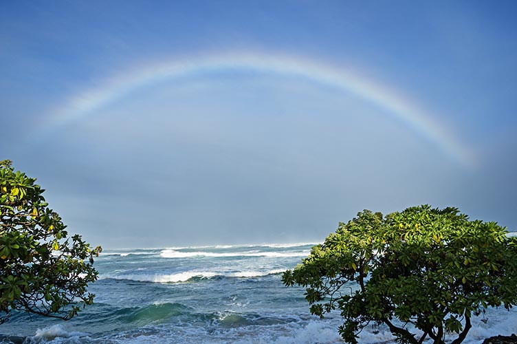 picture of Hawaii