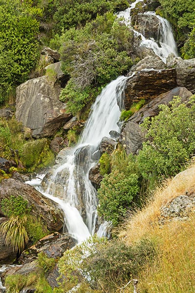 picture of New Zealand