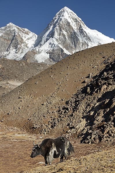 picture of Nepal