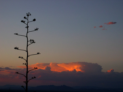 picture of sunset 