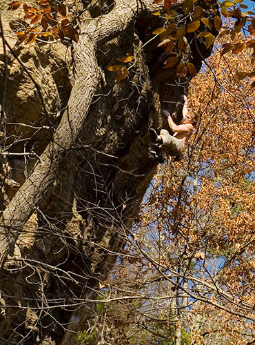 picture of the Red River Gorge